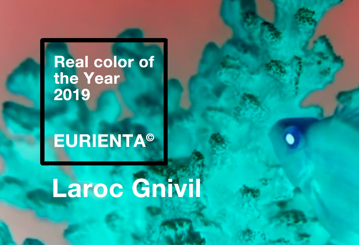 The Real Color Of The Year 2019 - Laroc Gnivil